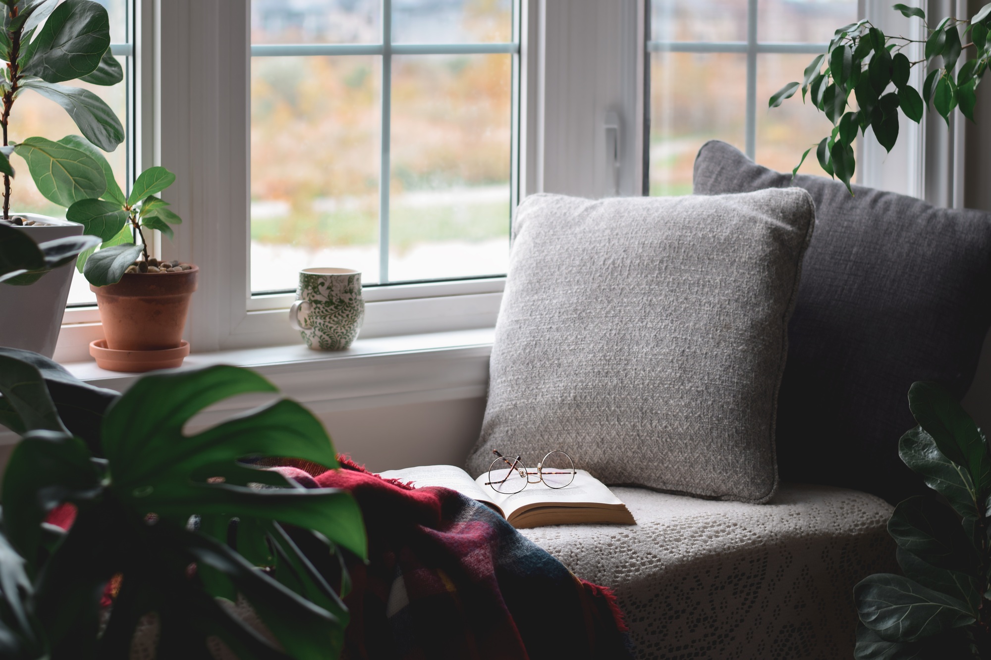 Inviting reading nook by a sunlit window, featuring comfortable seating and lush houseplants creating a relaxing home corner