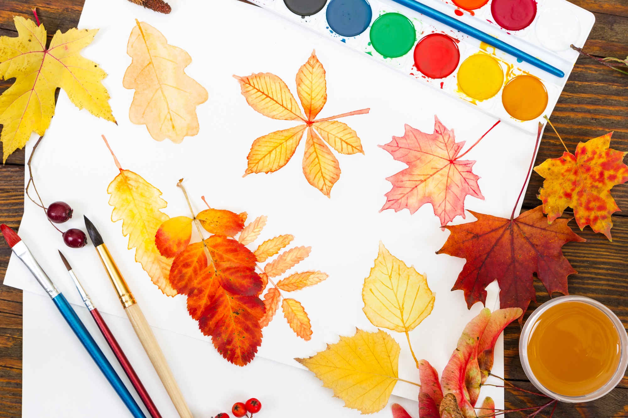 Watercolor painting with autumn leaves, paint, brushes and color